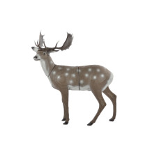 Franzbogen Standing Fallow Deer